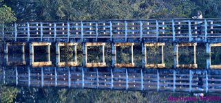 DSC_0556_stitch3_001.JPG