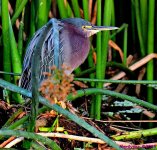 DSC_0574_001.JPG