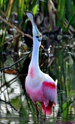DSC_0688_001.JPG