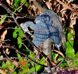 DSC_0787_001.JPG