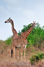 ExposureTours_k2_ooa_ntc_8469.jpg