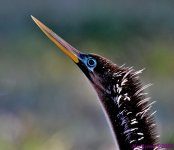 DSC_1043_001.JPG