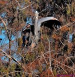 DSC_1055_001.JPG