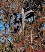 DSC_1056_001.JPG