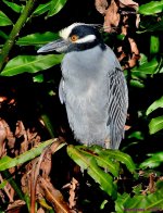 DSC_1070_001.JPG