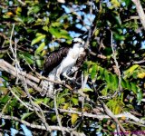 DSC_1126_001.JPG
