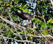 DSC_1138_001.JPG