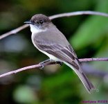 DSC_1164_001.JPG