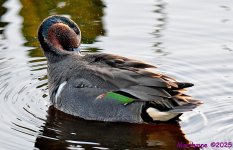 DSC_1226_001.JPG