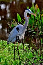 DSC_1268_001.JPG