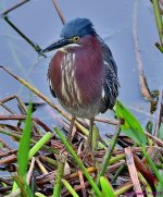 DSC_1279_001.JPG