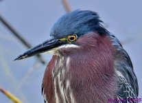 DSC_1280_001.JPG