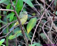 DSC_1325_001.JPG