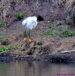DSC_1407_001.JPG