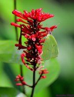 DSC_1490_001.JPG