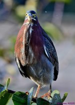 DSC_1663_001.JPG