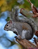 DSC_1945_stitch4_001.JPG