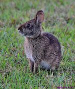 DSC_2017_001.JPG