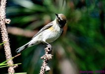 DSC_2179_001.JPG