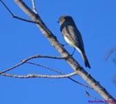 DSC_2191_001.JPG