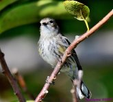 DSC_2203_001.JPG