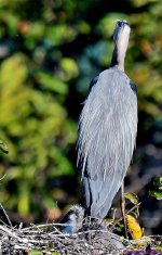 DSC_2253_001.JPG