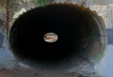 ROY_8544.JPG