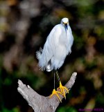 DSC_2304_001.JPG