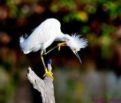 DSC_2325_001.JPG