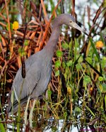 DSC_2365_001.JPG