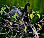 DSC_2403_stitch_001.JPG
