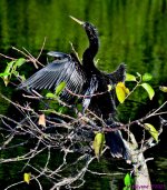DSC_2406_stitch_001.JPG