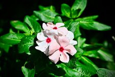 IMG_9690.jpeg