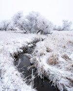 Winterscape-4.jpg