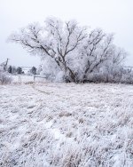 Winterscape-7.jpg