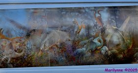 DSC_2997_001.JPG
