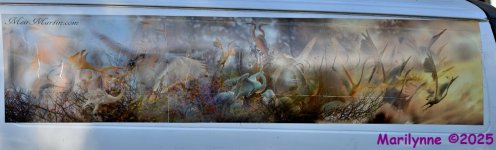 DSC_2999_stitch4_001.JPG