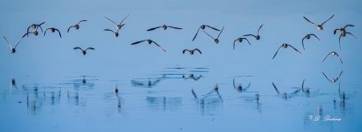 _DSC4356-DeNoiseAI-low-light-4.jpg