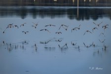 _DSC4356-DeNoiseAI-low-light-2.jpg