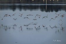 _DSC4356-DeNoiseAI-low-light-3.jpg