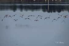 _DSC4356-DeNoiseAI-low-light-5.jpg