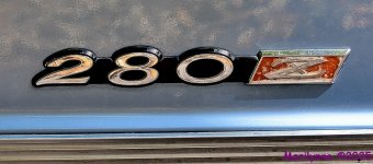 500_0385_001.JPG