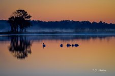 _DSC3817-DeNoiseAI-low-light.jpg