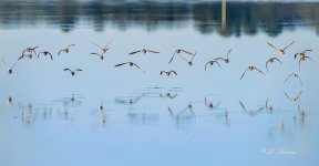 _DSC4356-DeNoiseAI-low-light-6.jpg