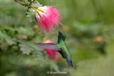 _DSC7301-Edit.jpg