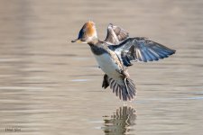 HoodieLanding-20.jpg