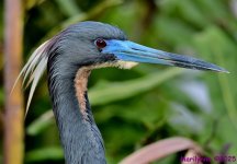 DSC_3212_001.JPG