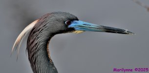 DSC_3220_001.JPG
