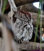 DSC_3354_001.JPG
