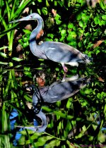 DSC_3378_stitch3_001.JPG